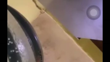 Bokep Premium Skandal Ngentot Salma Alea Fulldur